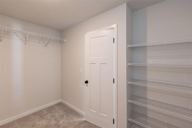 spacious closet with carpet