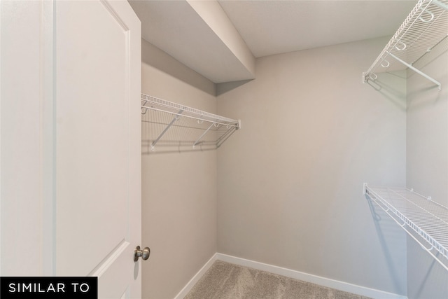 spacious closet with carpet