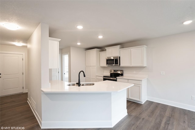 kitchen with appliances with stainless steel finishes, baseboards, dark wood-style floors, and a sink