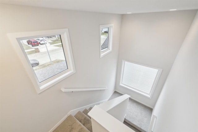 staircase featuring carpet floors