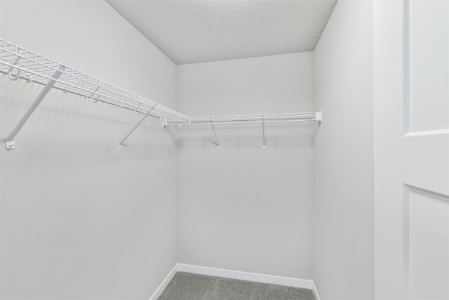 1727 Willow Ct, Norwalk, IA 50211 - spacious closet with carpet floors
