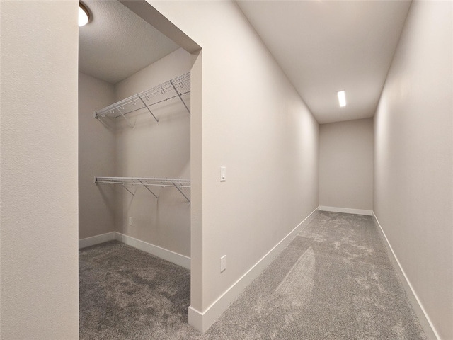 spacious closet featuring carpet