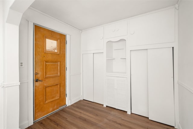 foyer entrance featuring dark wood-type flooring