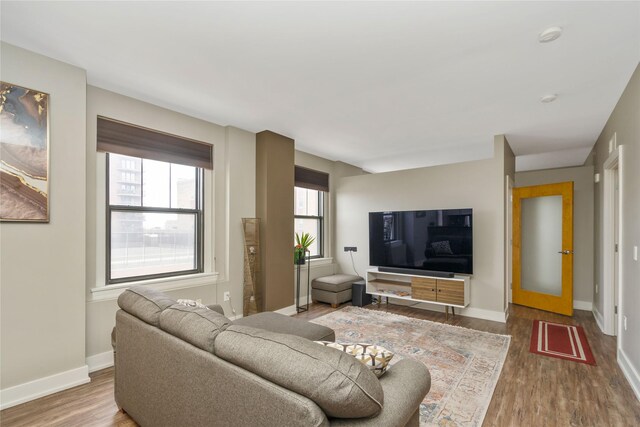 living room with hardwood / wood-style floors