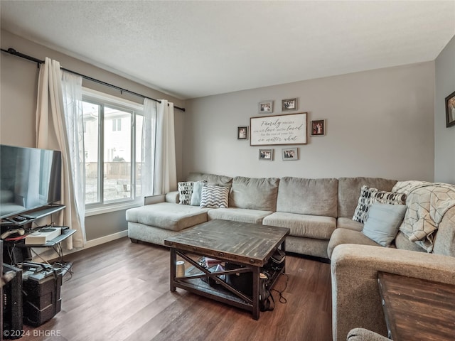 living room with a textured ceiling and hardwood / wood-style flooring