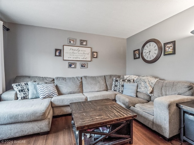 living room featuring dark wood-type flooring