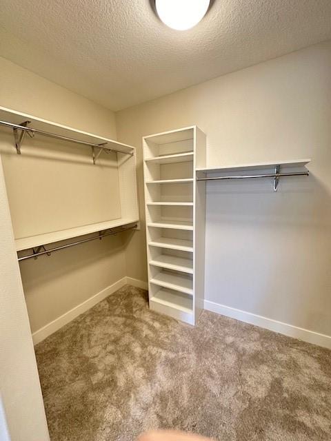 spacious closet with carpet