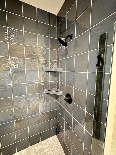 703 Richland Ct, Van Meter, IA 50261 - bathroom with tiled shower