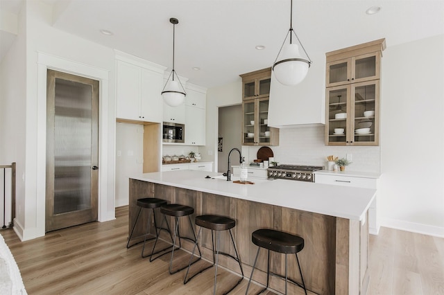 703 Richland Ct, Van Meter, IA 50261 - kitchen featuring light wood-type flooring, tasteful backsplash, an island with sink, stainless steel appliances, and light countertops