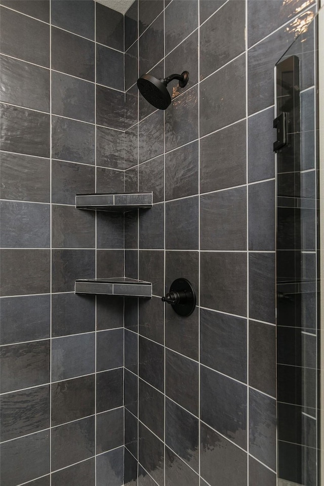 703 Richland Ct, Van Meter, IA 50261 - full bathroom with a tile shower