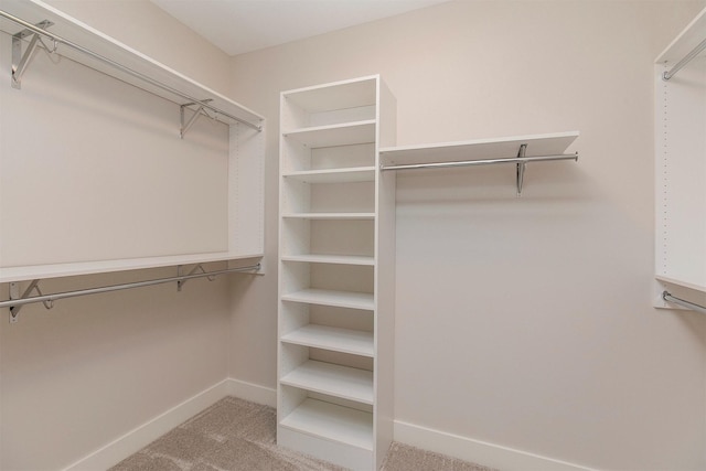703 Richland Ct, Van Meter, IA 50261 - walk in closet with carpet