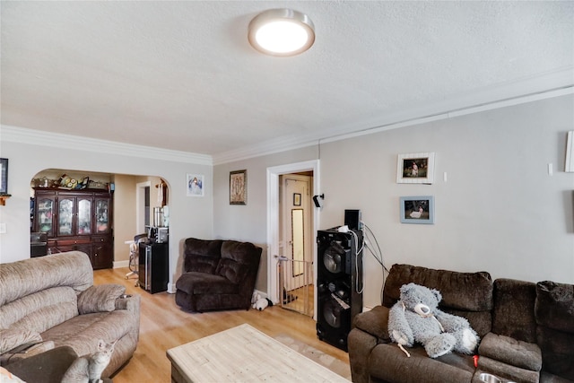 living room featuring light hardwood / wood-style floors and crown molding