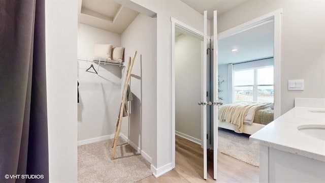 interior space featuring hardwood / wood-style floors and vanity