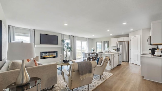 living room with light wood-type flooring and sink