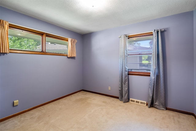 carpeted empty room featuring plenty of natural light and a textured ceiling