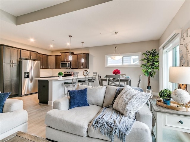 living room featuring light hardwood / wood-style floors and a wealth of natural light