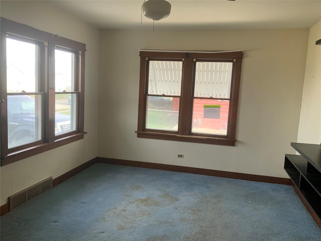 spare room with carpet floors and a wealth of natural light