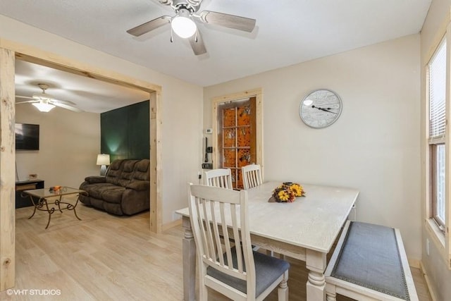 dining area featuring ceiling fan, a healthy amount of sunlight, and light hardwood / wood-style flooring