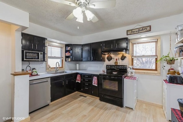 kitchen featuring stainless steel appliances, tasteful backsplash, plenty of natural light, sink, and light hardwood / wood-style flooring