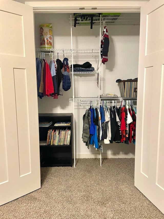 view of closet