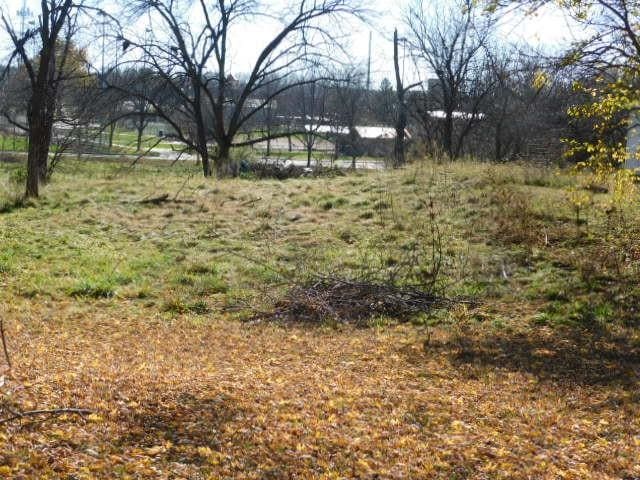1316 Locust St, West Des Moines, IA 50265 - view of yard
