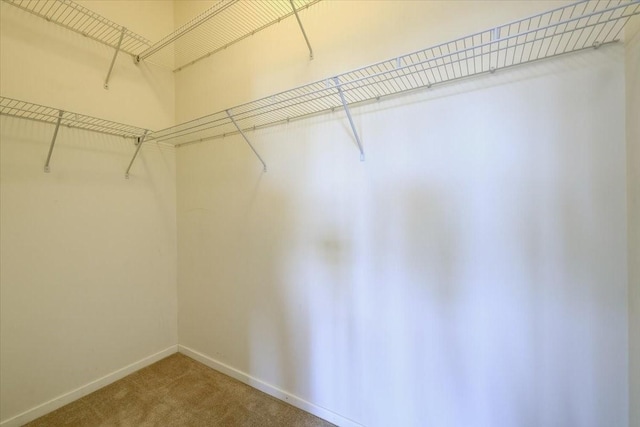 spacious closet with carpet floors