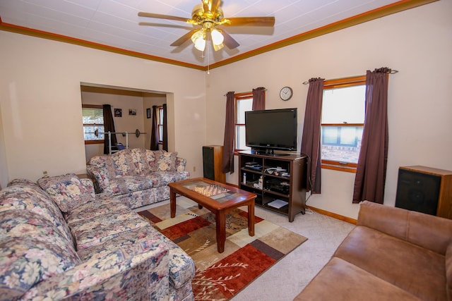 carpeted living room featuring ceiling fan and crown molding