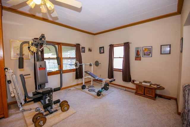 workout area featuring a wealth of natural light, crown molding, and carpet