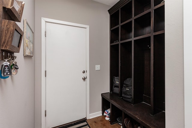 mudroom with hardwood / wood-style floors