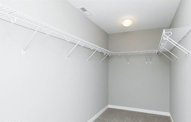 walk in closet featuring carpet and visible vents