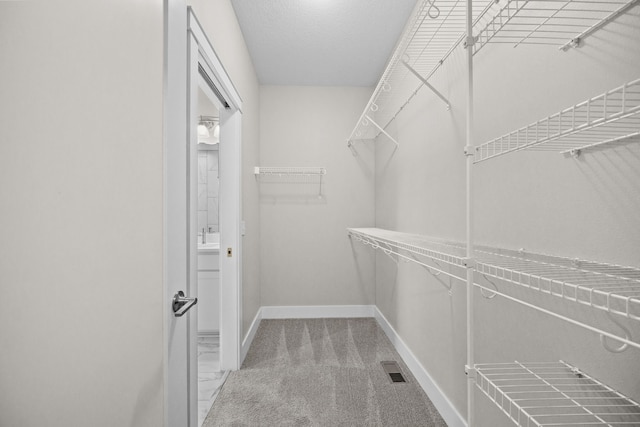 walk in closet with carpet and visible vents