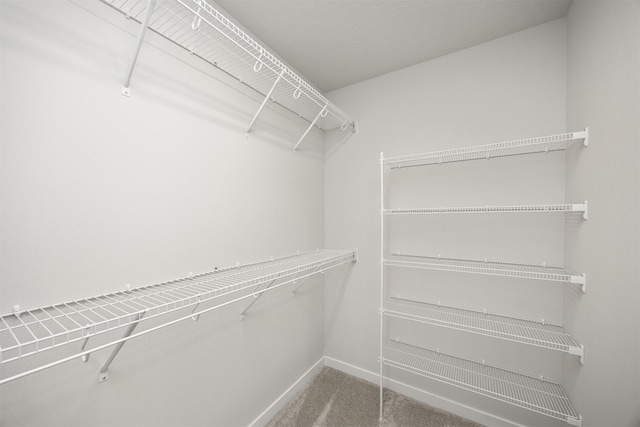 spacious closet with carpet floors