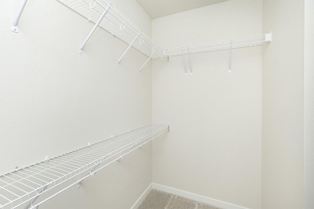 walk in closet featuring light colored carpet