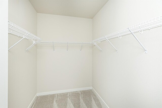spacious closet with light colored carpet