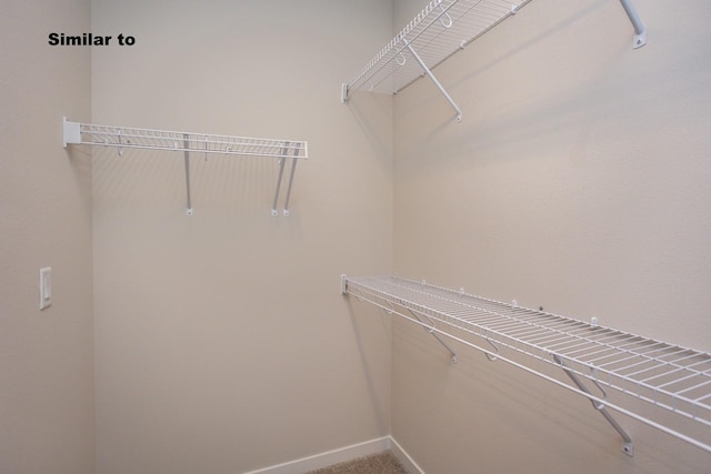 spacious closet with carpet floors