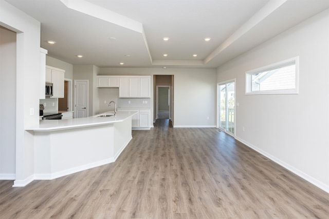 kitchen with stainless steel microwave, light wood-style flooring, electric range, and a sink