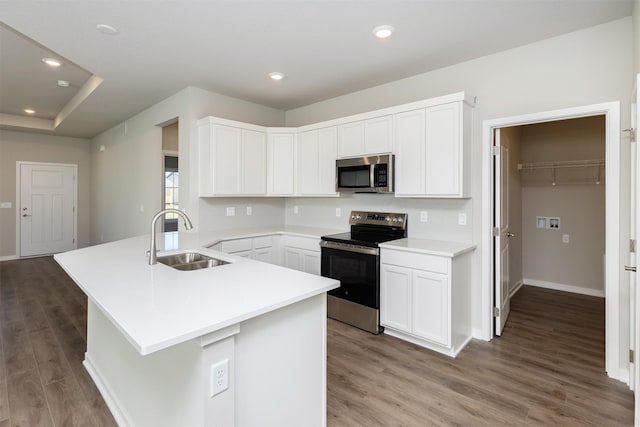 kitchen featuring wood finished floors, baseboards, stainless steel appliances, and a sink