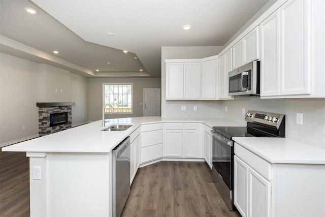 kitchen featuring a peninsula, wood finished floors, appliances with stainless steel finishes, and a sink