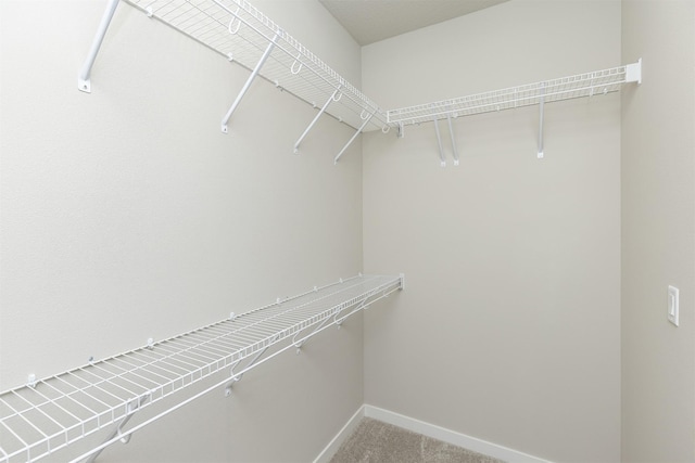spacious closet featuring light carpet