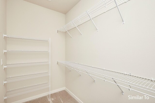 spacious closet featuring carpet floors