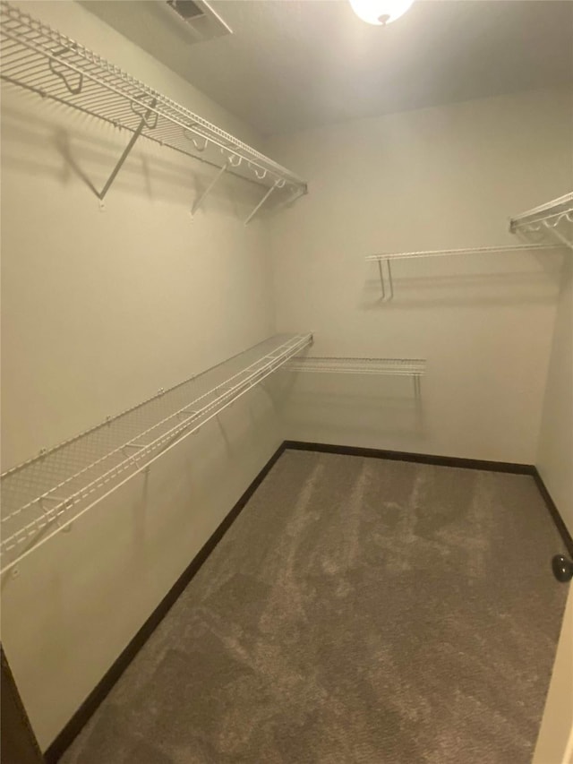 spacious closet with carpet floors