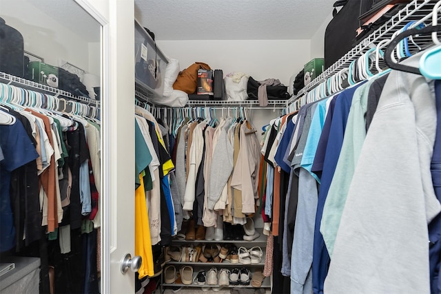 view of walk in closet