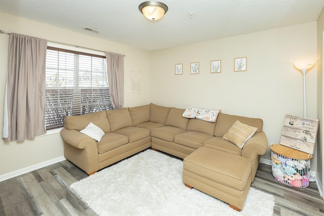 living room featuring hardwood / wood-style floors