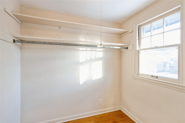 walk in closet featuring wood-type flooring