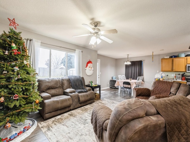 living room featuring wood-type flooring, a textured ceiling, and ceiling fan