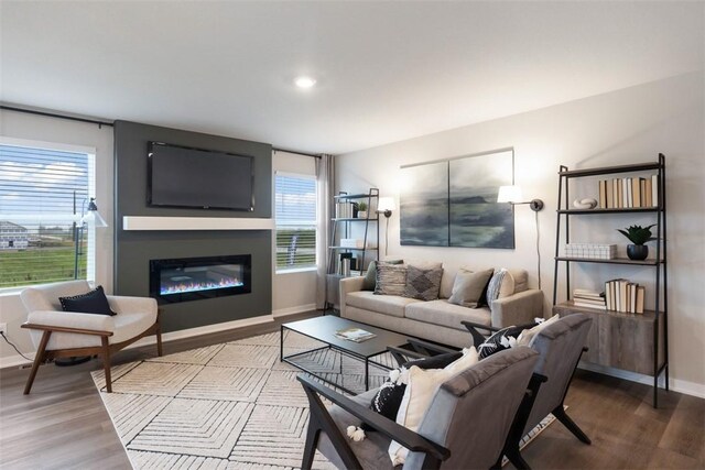 4408 NE 11th St, Ankeny, IA 50021 - living area with wood finished floors, a glass covered fireplace, plenty of natural light, and recessed lighting