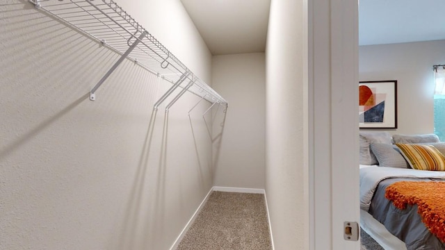 spacious closet featuring light colored carpet