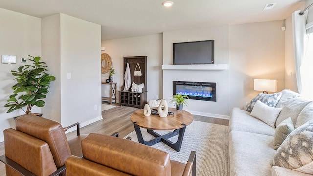 living room with wood-type flooring