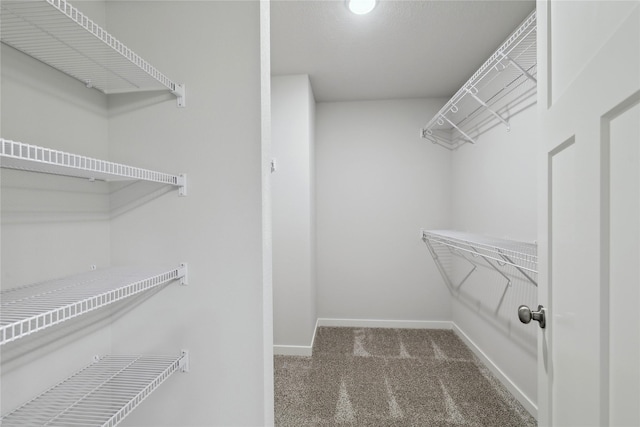 walk in closet with carpet