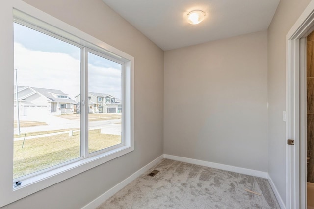 carpeted spare room with a wealth of natural light